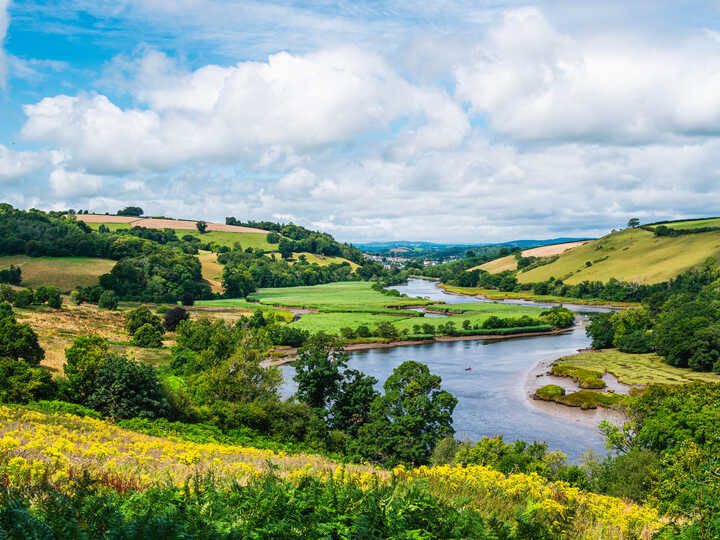 river dart and sharpham meadows